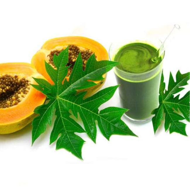 Papaya leaves benefits